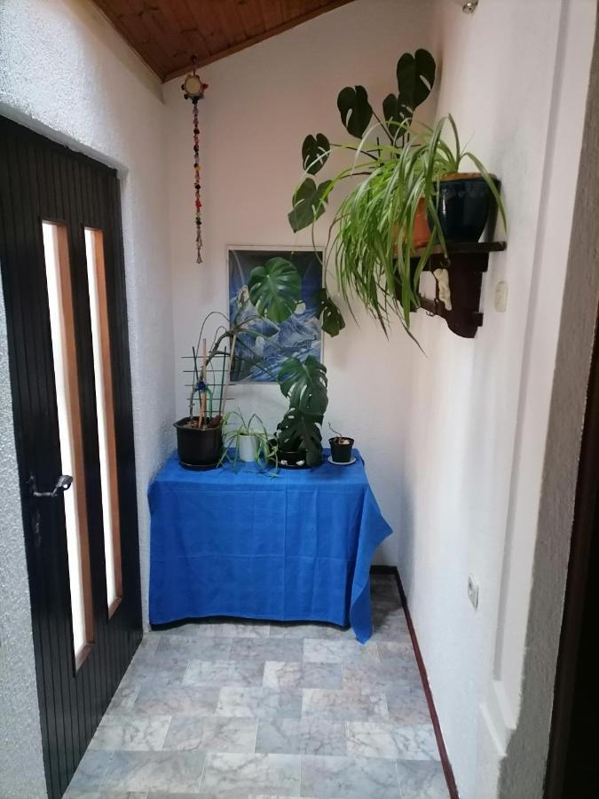 Apartman Zepina Pula Buitenkant foto